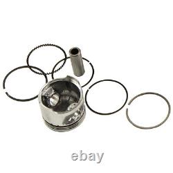 Cylinder Head Piston Ring Kit fit Honda 70cc ATC70 CRF70 CT70 C70 XR70 S65