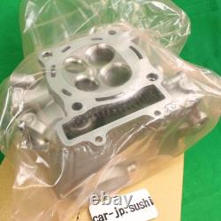 HONDA Genuine NEW CYLINDER HEAD 2019 CRF250R / CRF250RX 12010-K95-A40