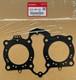 Honda Cb500 Head Gasket 94-03, Cylinder Head 12251-my5-601