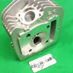 Honda Genuine Cylinder Head 2001-2003 Xr100r 2004-2013 Crf100f 12200-kn4-a61 New