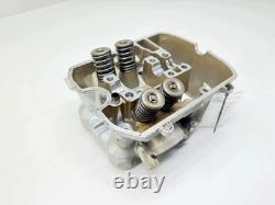 Honda NTV 700 Cylinder head 1 piece