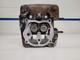 Honda Trx 250 Cylinder Head