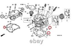 Honda TRX420 FE FE1 2009-2023 Cylinder Head & Gasket Top End Kit