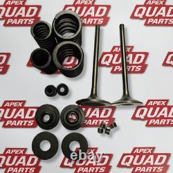 Honda TRX500 FPM 2005-2019 Cylinder Head Intake & Exhaust Valve Kit